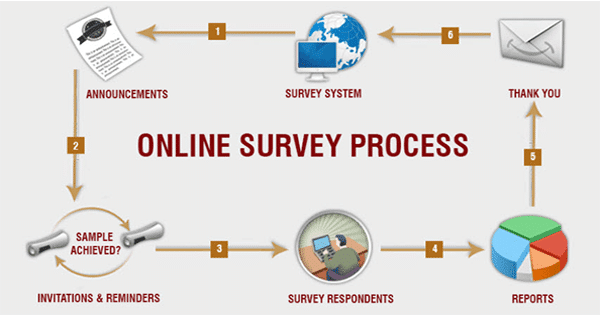 How Survey Works