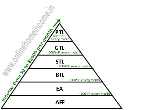 SFI Levels