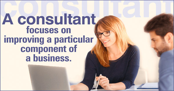 Duties of Consultant