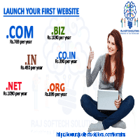 Domain Name Registration