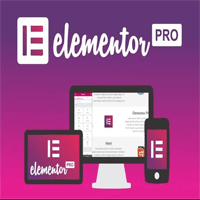 Elementor Pro